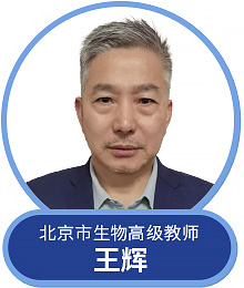 王辉
