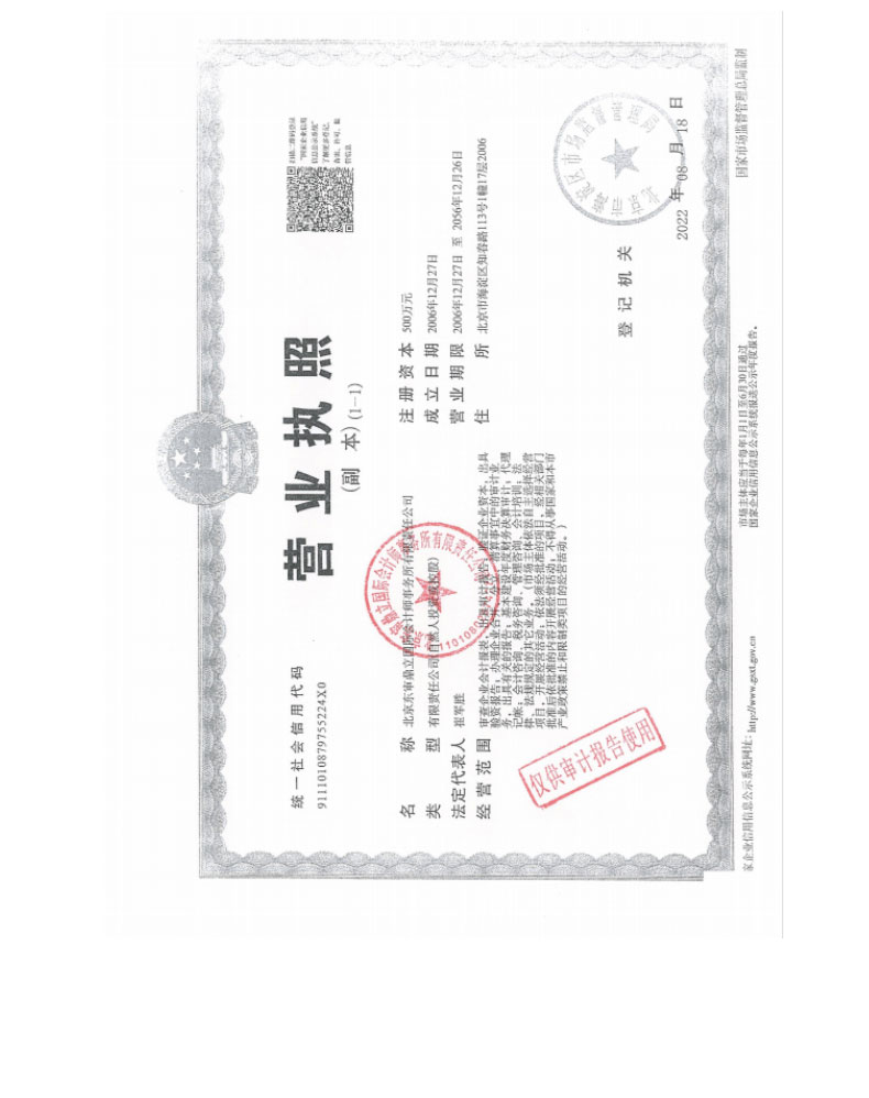 审计报告